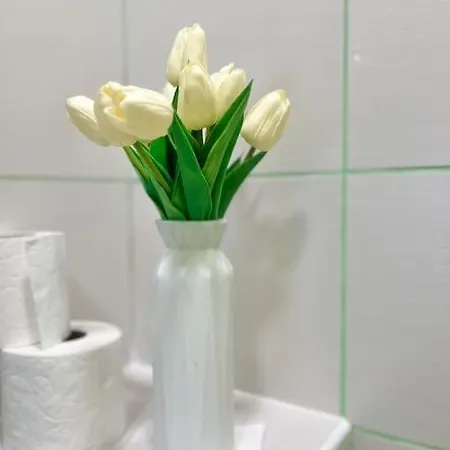 Cozy In * וארנה